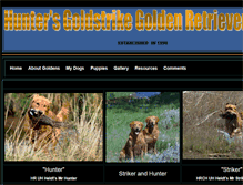 Tablet Screenshot of huntersgoldstrike.com